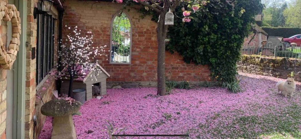 Piglet Cottage Pebworth Εξωτερικό φωτογραφία